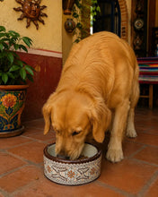 Load image into Gallery viewer, Handcrafted Large Ceramic Dog Bowl